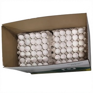 ไข่ไก่สดจากฟาร์ม |   ไข่ไก่เกรดพรีเมียมสำหรับอุตสาหกรรมบริการอาหาร - Product Image 6