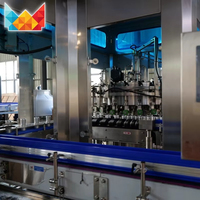 Machine de bouchage automatique personnalisée chinoise pour bouteilles en plastique CO2/air, 2000-48000 BPH, pour boissons, à bon prix