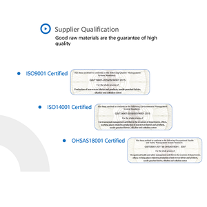 Bán Sỉ Bộ Lọc Nước Hồ Bơi Spa Phụ Kiện Làm Sạch Hệ Thống Thiết Bị Lọc Hộp Mực - Product Image 5