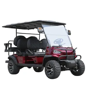 Off Road Electric Golf Cart Japan G Series Gray 5KW 72V Electric Golf Car Buggy Price