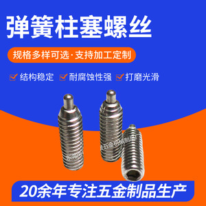 304 Stainless Steel Spring Plunger M8 Cylindrical Head Screw DIN Standard Multi Position Bolt - Product Image 5