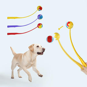 C4P fabbrica vendita diretta allenamento all'aperto esercizio di palla da Tennis lanciatore per prendere cane palla lanciatore - Product Image 1