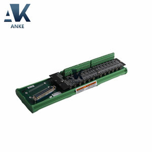 5501-376 Módulo de E/S analógico Woodward - Product Image 3