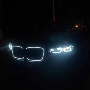 Rejilla de luz LED para 2022 <span class=keywords><strong>2023</strong></span> 2024 <span class=keywords><strong>BMW</strong></span> New X3 <span class=keywords><strong>X4</strong></span> Series G01 G02 rejilla de riñón frontal X3M X4M Diamond Grill Grid M <span class=keywords><strong>Sport</strong></span> - Product Image 3