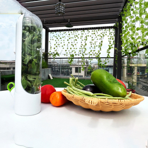 New Arrival nhựa Herb Saver tốt nhất tươi sản phẩm lưu trữ container với thiết kế thoáng khí cho freshest rau và các loại thảo mộc - Product Image 6