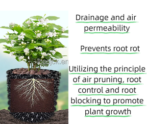Pots et jardinières en plastique PET écologiques et durables pour la plantation <span class=keywords><strong>de</strong></span> fleurs, <span class=keywords><strong>de</strong></span> bonsaïs et d'arbres fruitiers, design classique, vente en gros - Product Image 6
