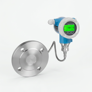 Capteur intelligent antidéflagrant Cerabar PMP71B Endress+Hauser avec précision de 0,025 % FS et option d'écran tactile - Product Image 2