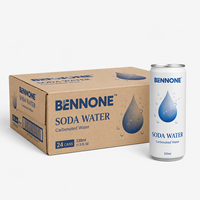 Eau gazeuse sans sucre en conserve et en bouteille, 300 ml, formule pure, boisson gazeuse, fabricant OEM ODM, MOQ flexible