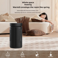 Souffleur d'air chaud USB portable pour la maison, chauffage rapide PTC, régulateur de température, thermostat réglable, contrôle de l'énergie