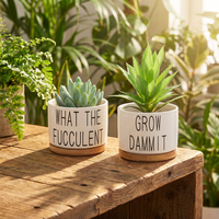 Pot de fleurs en céramique rétro personnalisé, petit Cactus, tapis de plantes succulentes blanches avec plateau en bambou