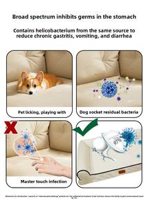 Sofá rectangular de PP sólido, cama ecológica para perros, cómodo cojín de algodón, cama de invierno para mascotas, cartón extraíble, lavable y suave - Product Image 5