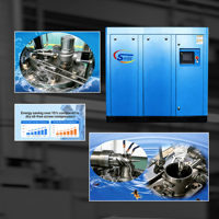 Compresseur d'air à vis sans huile et lubrifié à l'eau Elgi WSV-280A 200 kW