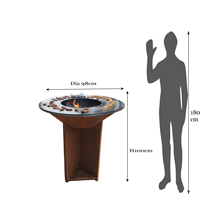 Nouvelle Conception 2026 : Plancha de Jardin à Bois avec Plaque de Cuisson Amovible pour Extérieur