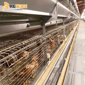 Système de 9 balles pour poules, équipement pour ferme à balles, 4 niveaux, Type H, jour automatique, pour bébés - Product Image 3