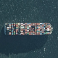 Service d'agent d'expédition de fret aérien de dédouanement bon marché de conteneur d'expédition vers la Géorgie/Indonésie/Israël/Irak