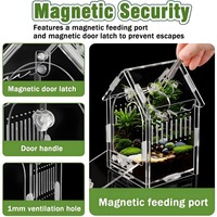 Boîte de présentation en acrylique pour insectes, cage d'élevage OEM d'usine pour tarantules, insectes, lézards et araignées