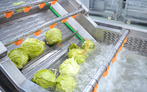 Máquina de lavado de col chino y <span class=keywords><strong>patatas</strong></span>, máquina de lavado por burbujas, máquina de secado de frutas, línea de lavado y procesamiento de col y vegetales - Product Image 5