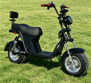 Moto à grande vitesse avec batterie au plomb 110V, vélo électrique de course pour adultes avec certification CEE 1. Matériaux de qualité supérieure |   Robuste et résistant - Product Image 4