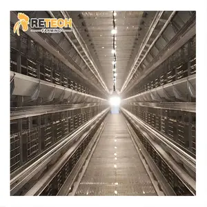 Poultry Cage Supplier Sales H Type Automatic 4 Tiers 5Tiers Chicken Layer Cage Philippines