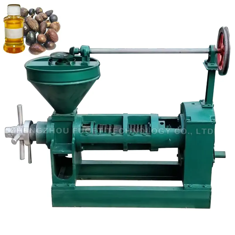 6YL-100 palm kernel sunflower soybean oil extraction machine screw oil press coconut oil mill machine