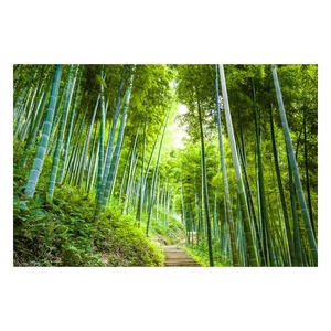 Carta da Parati 3D di Alta Qualità su Misura, Paesaggi Naturali, Murales di Foreste di Bambù per Design del Soggiorno - Product Image 5