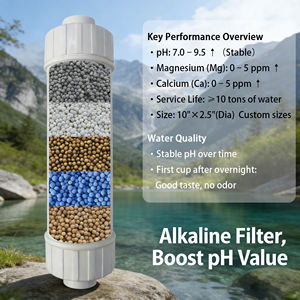 Eeuwige Wereld Alkalische Oplossing Waterfilter pH Verhogende Silicaat Minerale Filter voor Thuis - Product Image 2