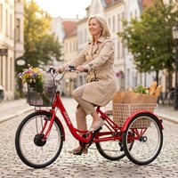 Moderna bicicleta eléctrica aleación aluminio 7 velocidades bicicleta carga plegable compras triciclo cesta trasera pasajerosCEE