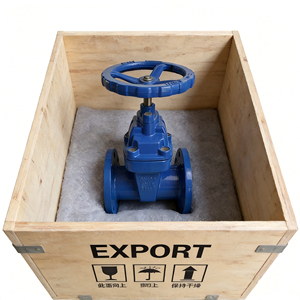 Vanne à opercule manuelle en fonte ductile à siège élastique Rang Bridge DN50-DN1,200 Z45X-16Q pour la protection incendie - Product Image 6