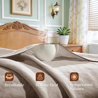 Parure de draps 4 pièces 100 % lin français, poches profondes de 40 cm, respirante, anti-humidité, motif uni, taille Queen, confortable toutes saisons