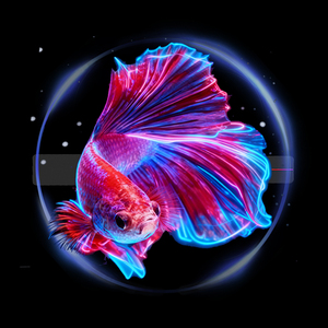 Máy chiếu hologram làm quà tặng khuyến mãi và bộ quà tặng Giáng sinh với màn hình LED 20cm, bộ quà tặng doanh nghiệp, quạt hologram - Product Image 3