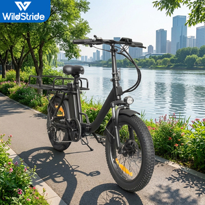 Bicicleta Eléctrica Urbana con Llantas Gruesas de 20 Pulgadas, 500W, 48V, Frenos de Disco, Plegable, EB10, con Motor Trasero sin Escobillas de 500W - Product Image 5