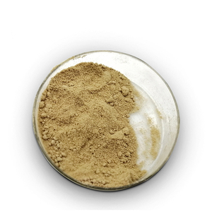 Proteasa ácida de grado alimenticio 50000-1000000u/G enzima de proteasa ácida de grado alimenticio CAS 9025-49-4 - Product Image 2