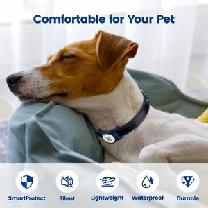 PawView - Localizador Inteligente para Perros, Bluetooth, Ubicación en Tiempo Real, Collar GPS para Mascotas con Soporte para Código QR para iOS y Android - Product Image 5