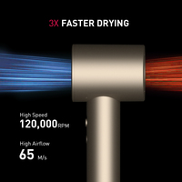 Sèche-cheveux électrique ionique professionnel 1600W usage domestique température constante haute vitesse faible bruit réglage de la chaleur chaude hôtels voyage