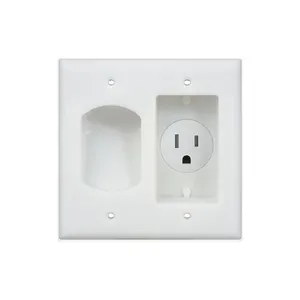 2 Gang Recessed Low Voltage Cable Plate With Single Power Receptacle