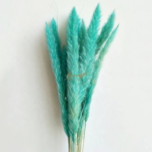 Wholesale 15-Stem <strong>Small</strong> Pampasgras <strong>Wreaths</strong> Hot Selling Natural Dry Flower Decorations for Wedding Home Valentine's Day Christmas - Product Image 6