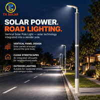 Lampadaire solaire CIGS haute performance, étanche IP65, lampe LED solaire pour l'éclairage routier