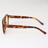 Lunettes de soleil rétro pour hommes à double pont, monture intégrale en acétate écaille, protection UV400, verres CR39, en stock