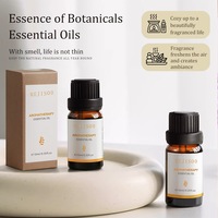 Huile essentielle aromathérapeutique soluble dans l'huile, parfum spécialement conçu pour les chambres d'hôtel et les diffuseurs de voiture, parfum longue durée