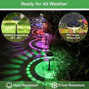 Outdoor IP65 Waterproof ABS Pathway Decoration Solar Outdoor Garden Stake Lights