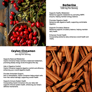 Экстракт берберина в жидких каплях 500 мг, капсулы для поддержки уровня сахара в крови GlucoFit, для метаболического здоровья и хорошего самочувствия сердца, растительные добавки - Product Image 4