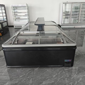 Plug in Island Chest Freezer Congélateur horizontal à 2 portes Congélateur à température unique pour boucher - Product Image 5