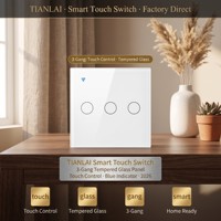 Sakelar Dinding WiFi Dua Tombol Touch Glass EU 1000W Per Tombol TL EUW02, Kontrol Jarak Jauh via Aplikasi Life, untuk Penggunaan di Toko, Hotel, dan Rumah Sehari-hari