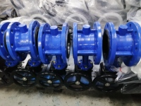 Vanne papillon à bride à commande par engrenages D341XQ en fonte ductile avec revêtement EPDM résistant à l'usure, disque 2507 PN16 pour conduite d'eaux usées abrasives