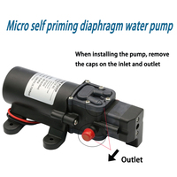 Pompa Air pendorong tekanan tinggi, pompa air diafragma dengan saklar tekanan 12V 24V 45W 4L/menit