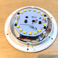 Lumière LED avec RGBW pour pot de fleurs, lumières de jardin avec télécommande