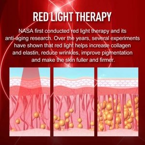 Appareil Électrique Portable Rechargeable pour Repulper les Lèvres avec Thérapie par Lumière Rouge LED, Conception OEM/ODM - Product Image 5