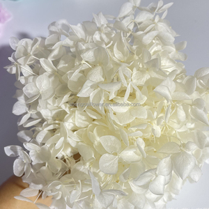 Pétales stabilisés, mousse et plantes murales, cadeau décoratif, vente en gros, <span class=keywords><strong>fleurs</strong></span> réelles, bouquet de roses et hortensias au toucher réel - Product Image 2