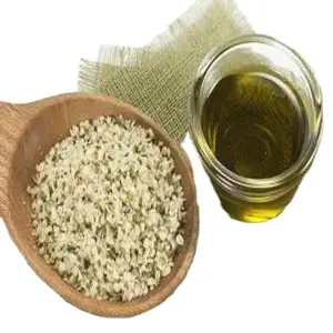 Plant Extracts Hemp Seed Oil Bulk 100% Natural 100% Pure Bulk Hemp Seed Oil Essential Oil for Sale