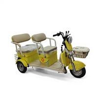 Tricycles électriques tout-terrain à 3 roues avec siège, moteur de moyeu arrière haute vitesse 1000W, pneus larges, 60V 20Ah, fabricant chinois